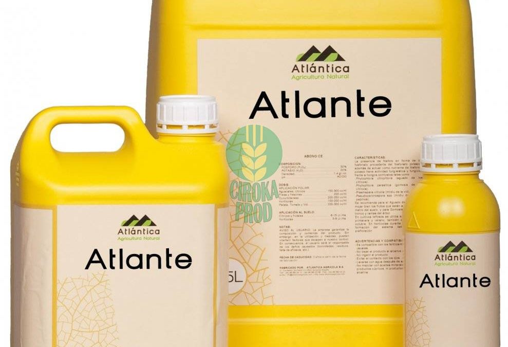 Atlantica  ATLANTE