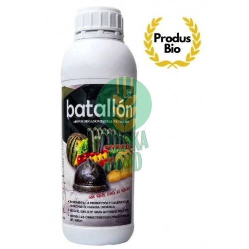 BATALLÓN 1 L