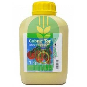 Cabrio Top