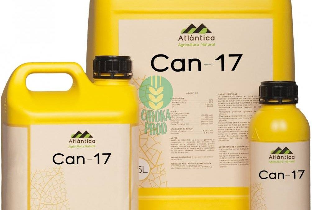 Atlantica CAN-17