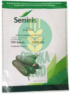 Seminis CASTRAVETI SV 4097 CV F1