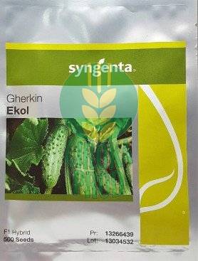 Syngenta EKOL F1