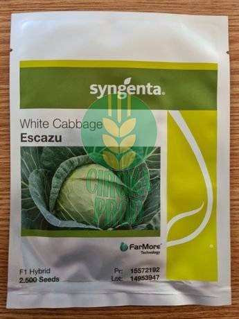 Syngenta Escazu F1