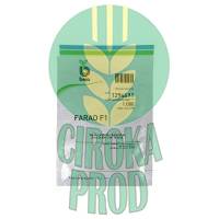 Bejo Seeds Farao F1