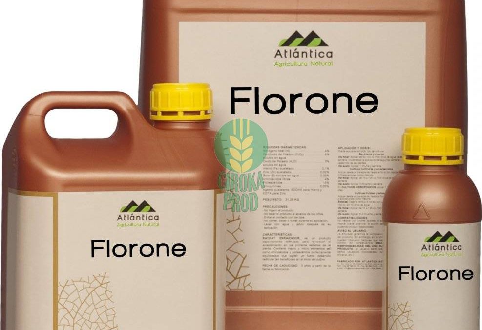 Atlantica FLORONE