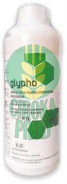 GLYPHO