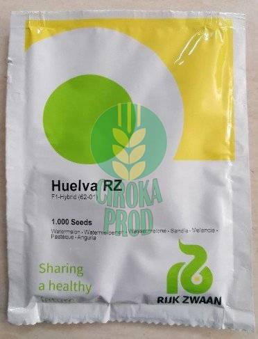 Rijk Zwaan HUELVA RZ