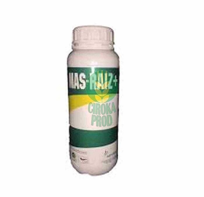 MAS-RAIZ+