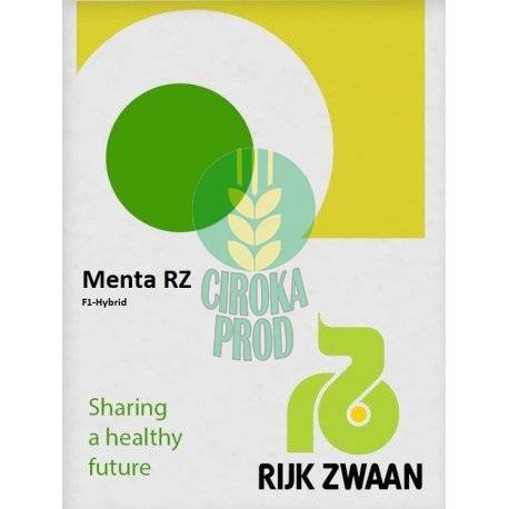 Menta RZ F1