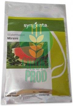 Syngenta MIRSINI F1