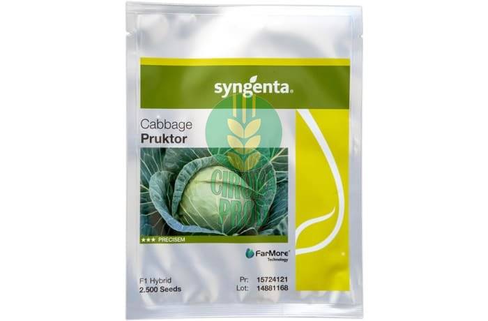 Syngenta Pruktor F1
