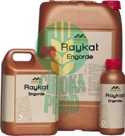 Atlantica RAYKAT ENGORDE
