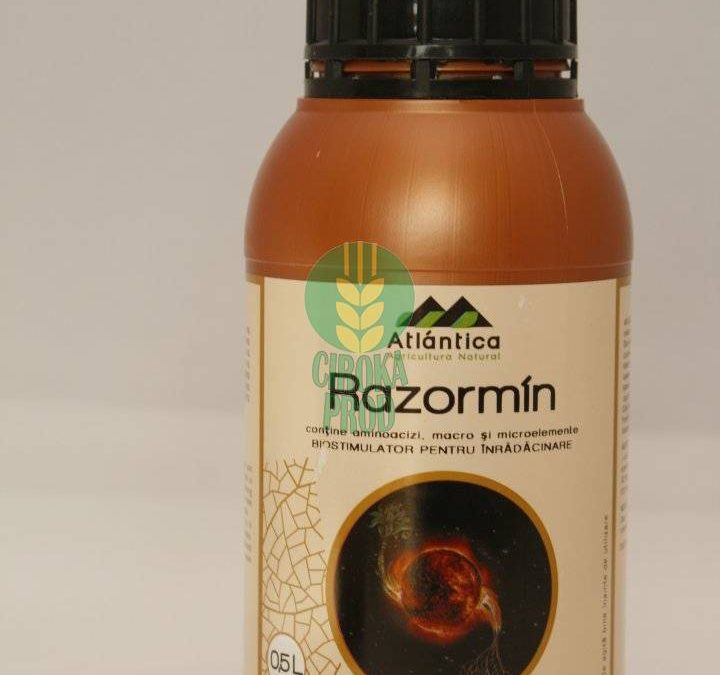Atlantica RAZORMIN