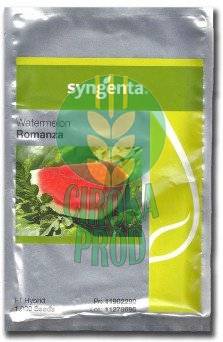 Syngenta ROMANZA F1