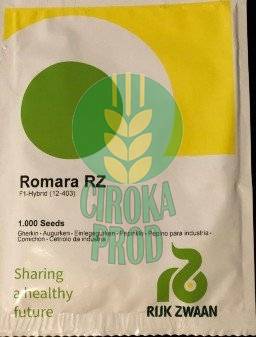 Rijk Zwaan ROMARA RZ