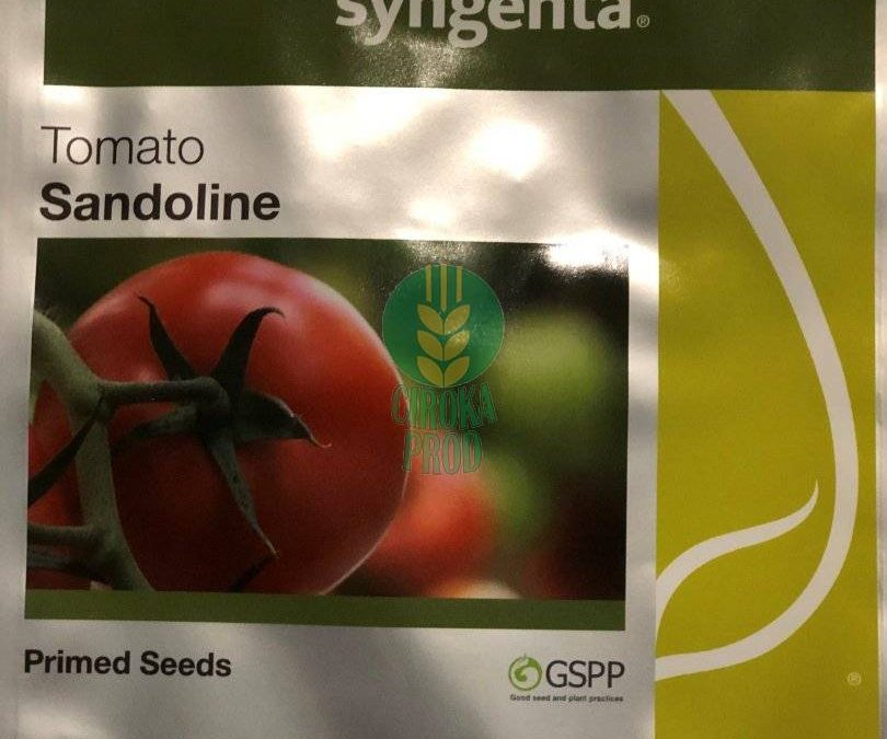 Sandoline F1