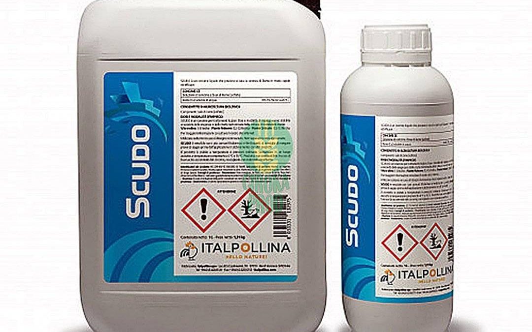 SCUDO