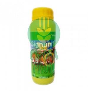 Signum