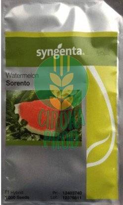 Syngenta SORENTO F1