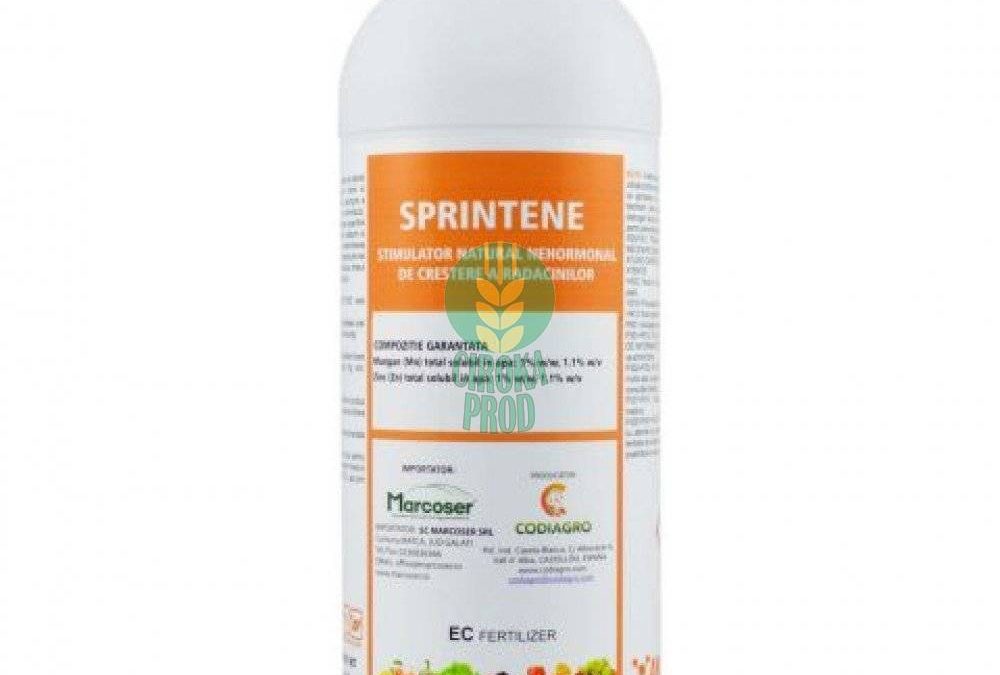 SPRINTENE