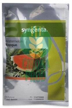 Syngenta TOPGUN F1