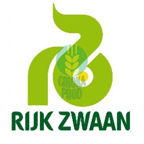 Rijk Zwaan Vitalica RZ F1