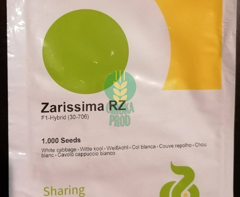 Zarissima RZ F1